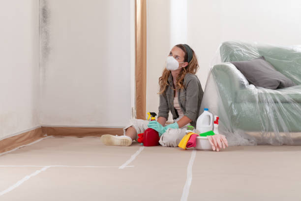 Reliable Basement Mold Remediation contractor in Ringwood, NJ by WQB Mold Removal